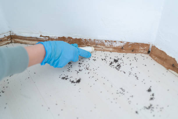 Best Real Estate Pest Inspections  in Thomasville, GA